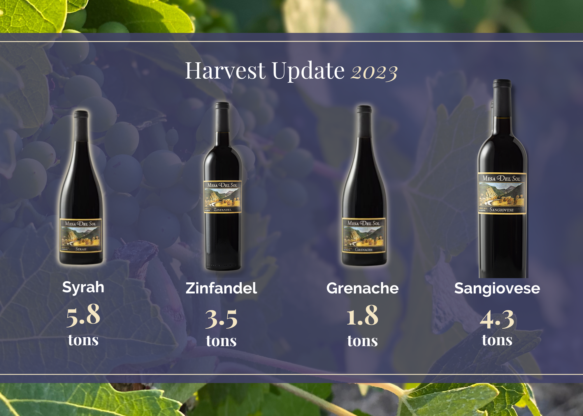 2023 harvest recap graphic