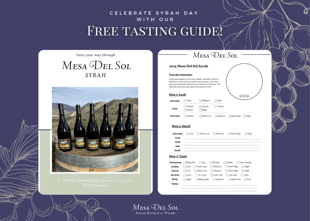 Celebrate Syrah Day with our FREE tasting guide