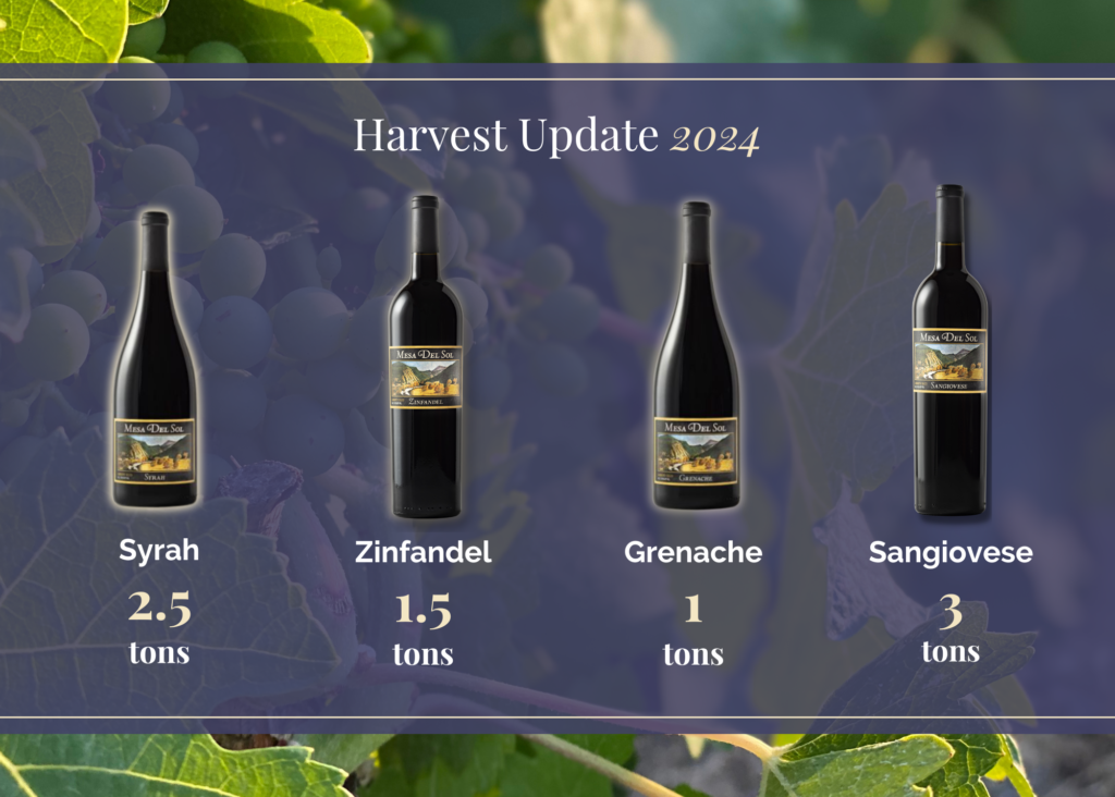 Harvest 2024 Update