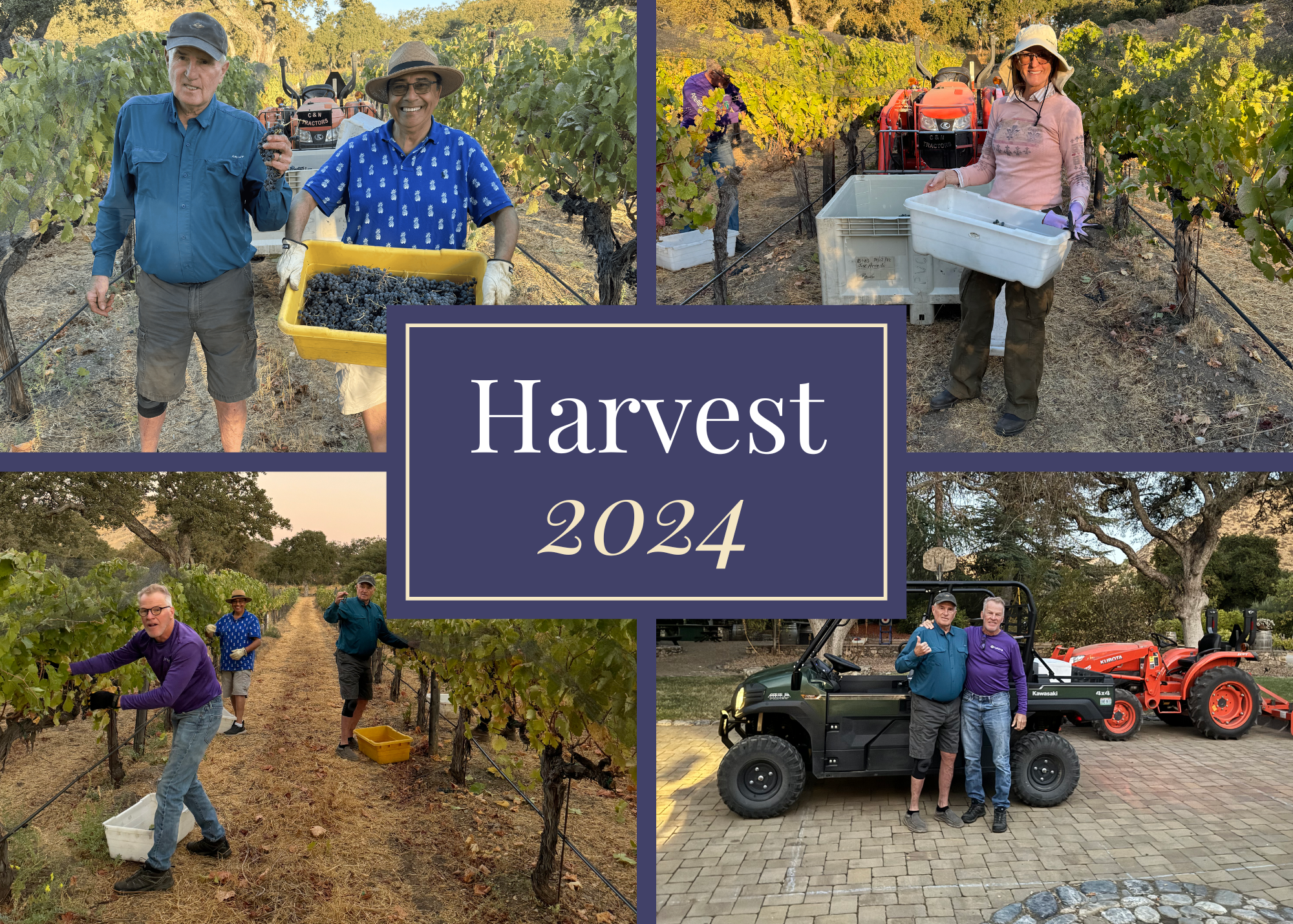 celebrating harvest 2024